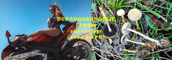ешки Абаза